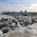 IMG_1727754