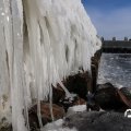IMG_1727761