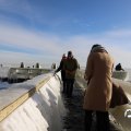 IMG_1727773
