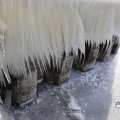 IMG_1727777