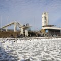 IMG_1727780