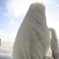 IMG_1727783