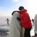 IMG_1727795