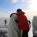 IMG_1727798