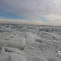 IMG_1727829
