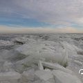 IMG_1727830