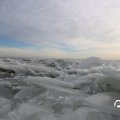 IMG_1727831