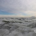 IMG_1727832