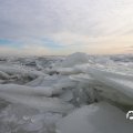 IMG_1727834