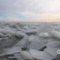 IMG_1727837