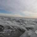 IMG_1727838