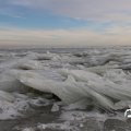 IMG_1727841