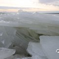 IMG_1727846