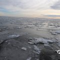 IMG_1727858