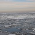 IMG_1727860