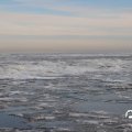 IMG_1727861