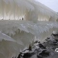 IMG_1727876