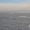 IMG_1727891
