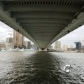 IMG_1728630