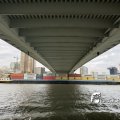 IMG_1728635