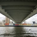 IMG_1728636