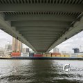 IMG_1728637