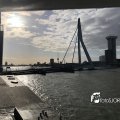 IMG_1729292