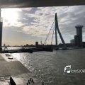 IMG_1729293