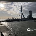 IMG_1729294