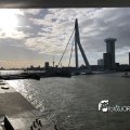IMG_1729295