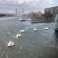 IMG_1729298