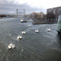 IMG_1729299
