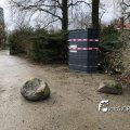 IMG_1729255