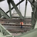IMG_1729271