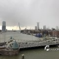 IMG_1729311