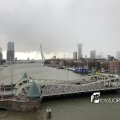 IMG_1729313