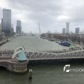 IMG_1729383