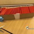 IMG_1729537