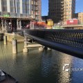 IMG_1730530
