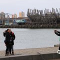 IMG_1729645