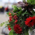 IMG_1729650