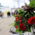 IMG_1729652