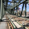 IMG_1730650