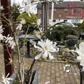 IMG_1731855