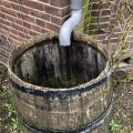 IMG_1731859