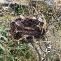 IMG_1731861