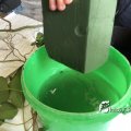 IMG_1731748