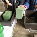 IMG_1731749
