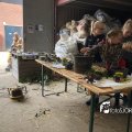 IMG_1731755