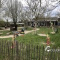 IMG_1731841